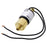 12V Solenoid Valve T4748800 4748800 for Titan Brake Actuators with Reverse Lockouts