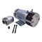 147099 Electric Motor Pump 24V 3Kw 4.3 CC for Skyjack SJIII3220 3226 4620 4626