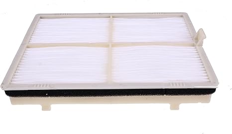 Air Filter PA30141 SC 80104 compatible with Baldwin