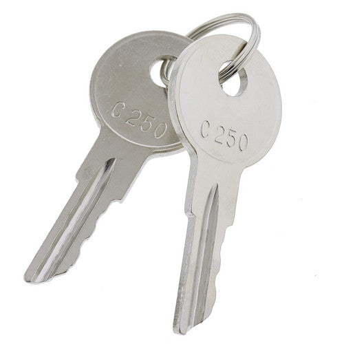 2X Ignition Keys C250 Replaces 089216-001 170151-001 for Crown Forklift