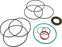 Seal Kit SK000092 025-511 259-0011 compatible with Parker TF TG DF DG Series 025-507 025-503 Wheel Motor