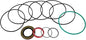 Seal Kit SK000092 025-511 259-0011 compatible with Parker TF TG DF DG Series 025-507 025-503 Wheel Motor