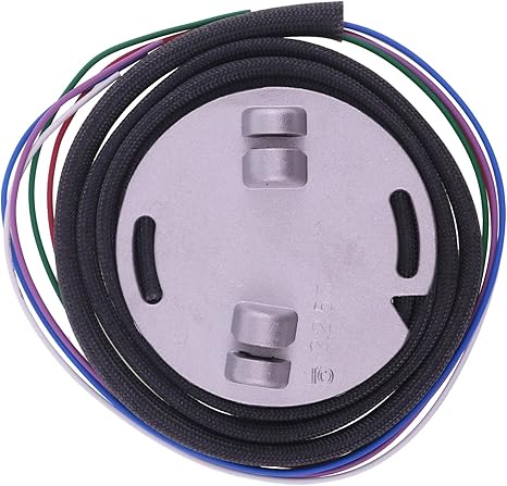 D2Ki-1P Programmable Ignition 2000i compatible with 1970-1999 Harley-Davidson with Carb