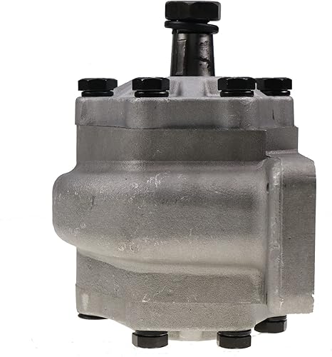 Hydraulic Gear Pump 84573150 for Case C50 C60 C70 C80 C90 C100 385 454 464 485 574 585 674 885 684 784 885 3220 3230 4210 4230 4240