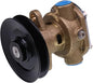 G910P Raw Water Pump GM104855 GM46936 267373 246489 344089 compatible with Kohler