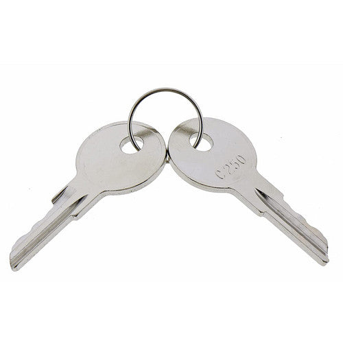 2X Ignition Keys C250 Replaces 089216-001 170151-001 for Crown Forklift