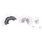 Golf Cart Body Rivet Kit 750102PKG 608456 for TXT Gas and Electric 1994 and U