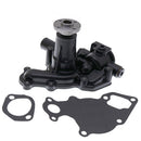 VV11981042001 Water Pump for Case CX36 CX31 New Holland EH35 Excavator