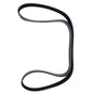 Belt 8PK1490 J921603 3921603 for Case Forklift 584E 585E 570LXT 580L 590L IH