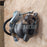 Turbocharger 129406-18010 8900-0959 VA110044 for Yanmar GY66 RHB31 4TNV84