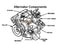 Free Shipping Alternator 23100-85E00 23100-F6100 LR170-721 for NISSAN Maxima 3.0i J30