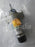 Diesel Stop Solenoid SA-3735 2001-12SU1B W/1"PAD-2.5LG 