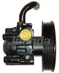 Free Shipping Power Steering Pump 57110-4D300 57110-4D000  for KIA CARNIVAL 06